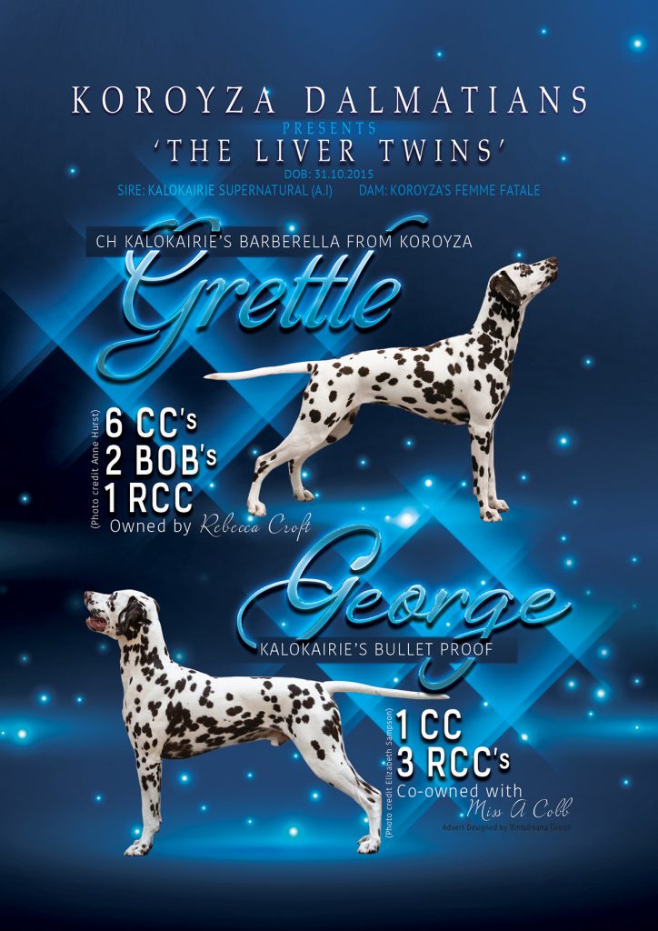 Koroyza Dog Show Awards