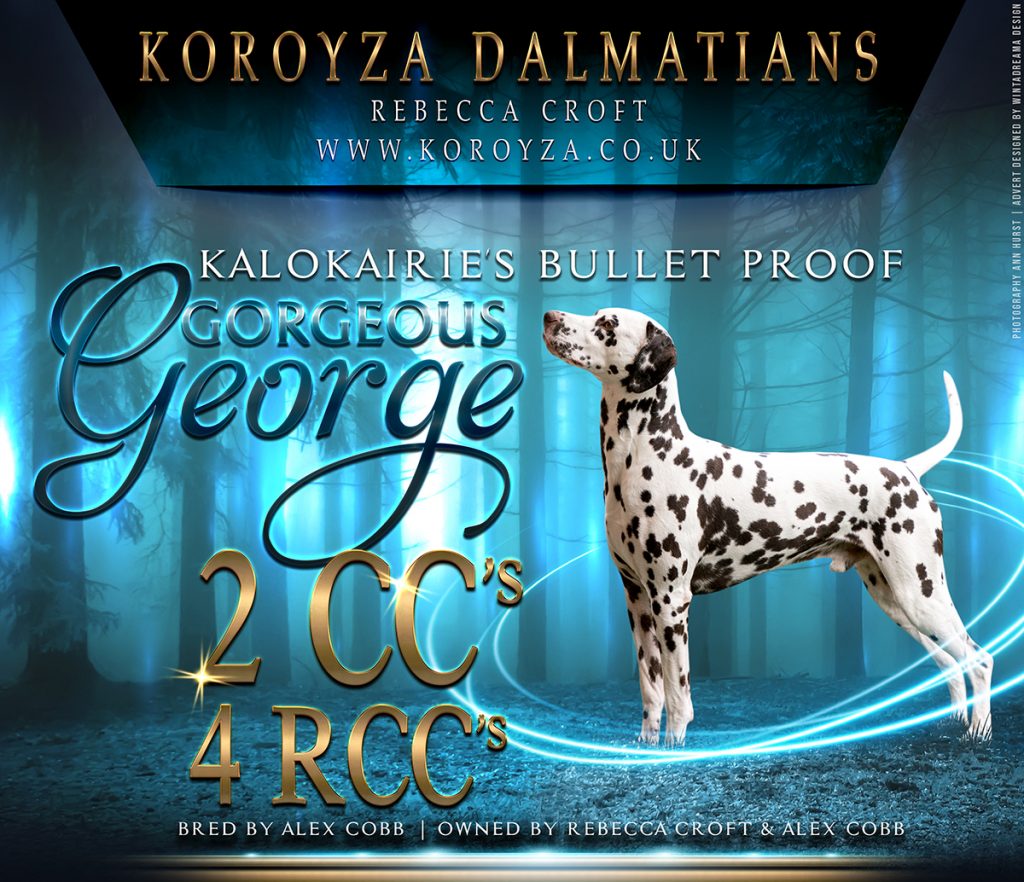 Koroyza Dog Show Awards